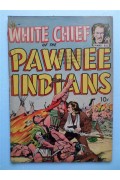 White Chief of the Pawnee Indians  GD-